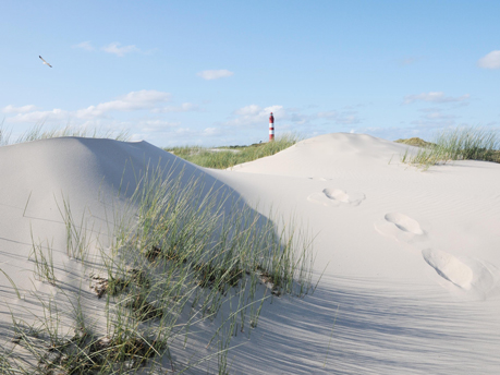 02-Amrum-Duenen